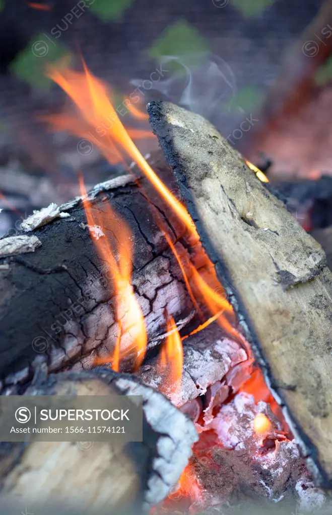 Low burning flame of a campfire.