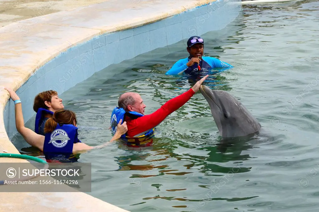 Dolphin interaction Costa Maya Mexico a stop on a Western Caribbean Cruise from Tampa Florida.