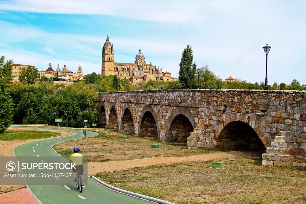 Roman bridge and Gothic Cathedral Salamanca, Spain
