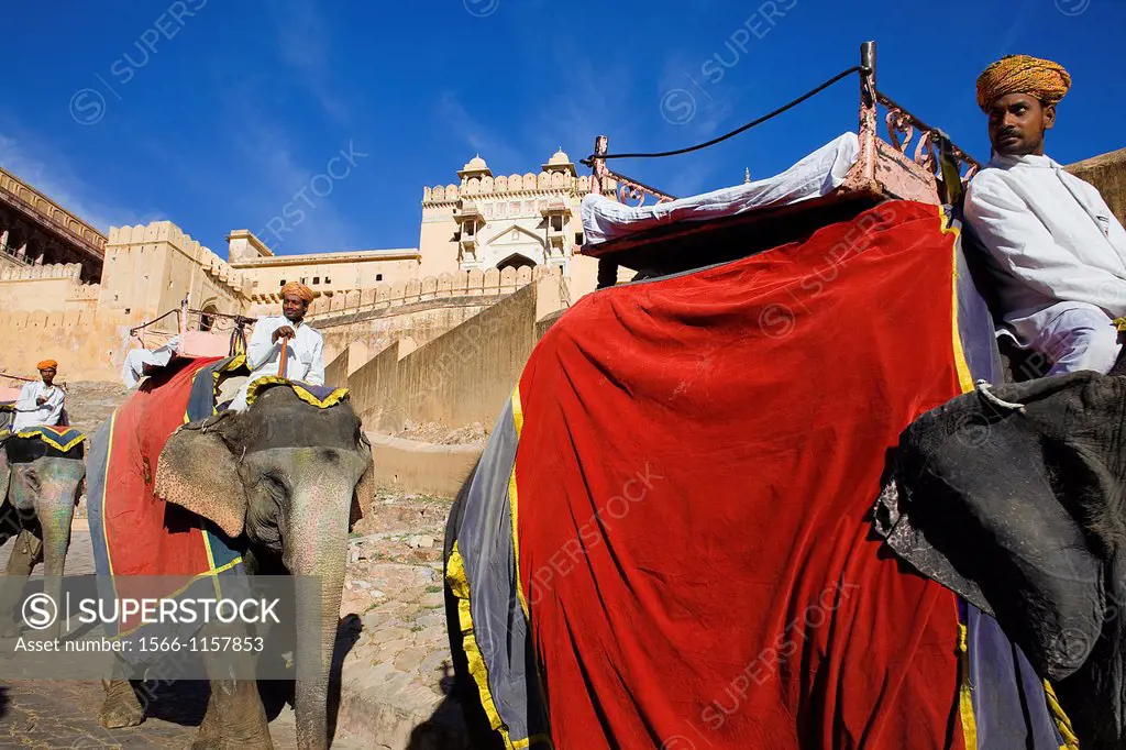 Elephants in Amber fort,Amber, Rajasthan, India