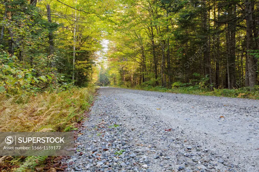 Autumn foliage along Gale River Loop Road in Bethlehem, New Hampshire. Gale River Loop Road is a seasonal road closed during the winter season.