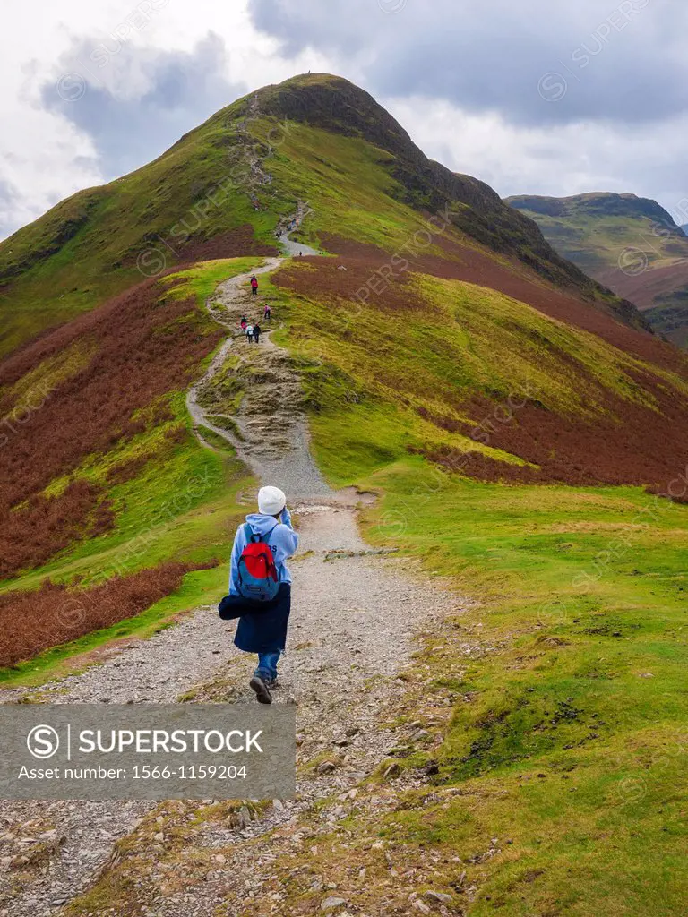 Path leading up to the summit of Cat Bells near Keswick in the Lake District National Park, Cumbria, England, United Kingdom