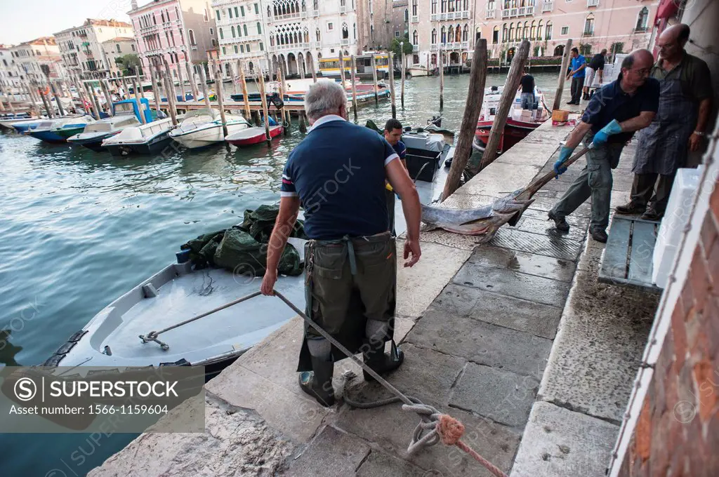 Fish delivery at the Rialto Market of Venice, Italy