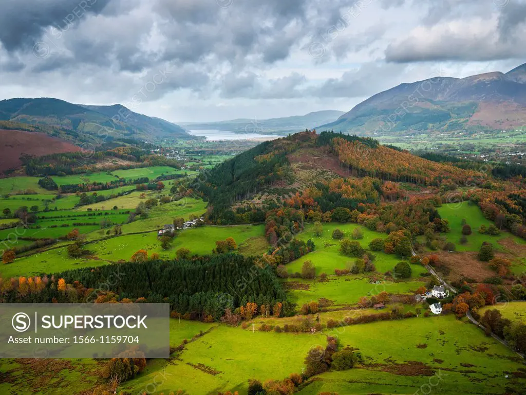 View of Swinside from Cat Bells, near Keswick with Bassenthwaite Lake in the Distance  Cumbria, England, United Kingdom