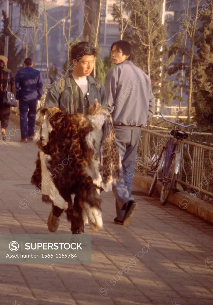 vendor of animal pelts, including cats, Kunming, Yunnan province, China