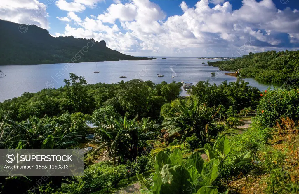 The harbour at Pohnpei Ponape, Federated States of Micronesia