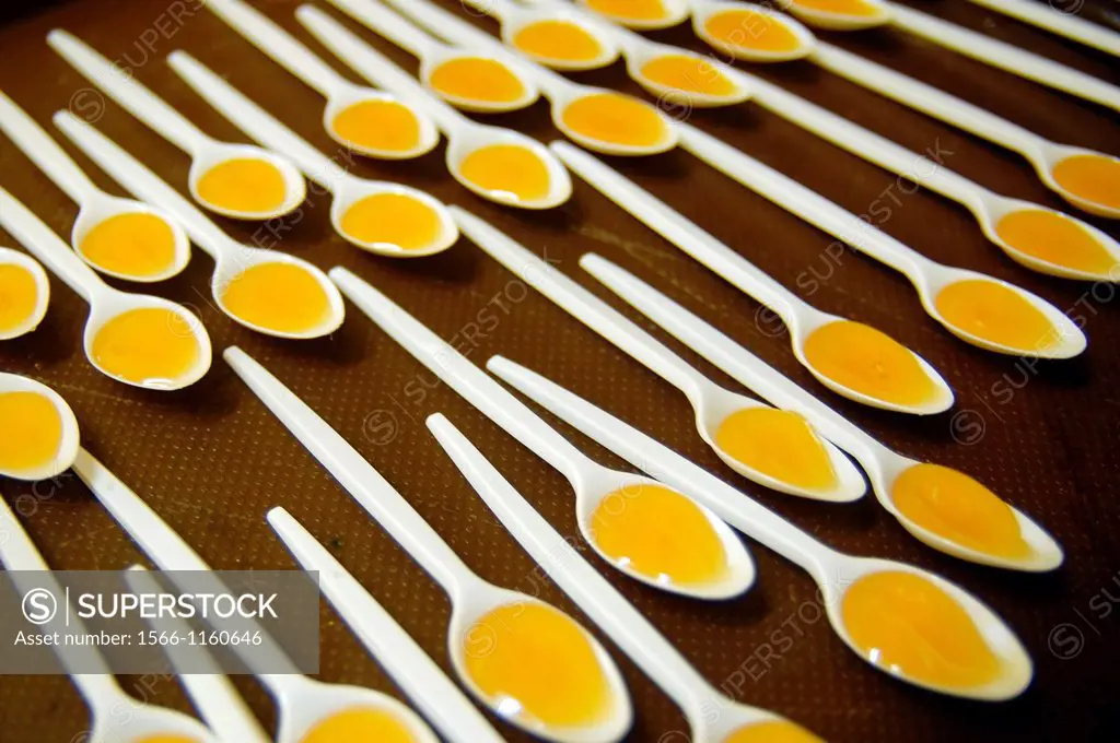 Samples of honey on a white plastic spoon at a honey factory