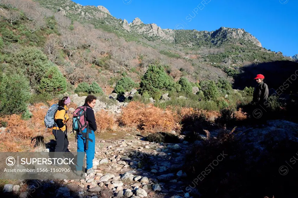 Hikers walking along Tejea Valley in Sierra de Gredos Regional Park  Candeleda  Ávila province  Castilla y León  Spain