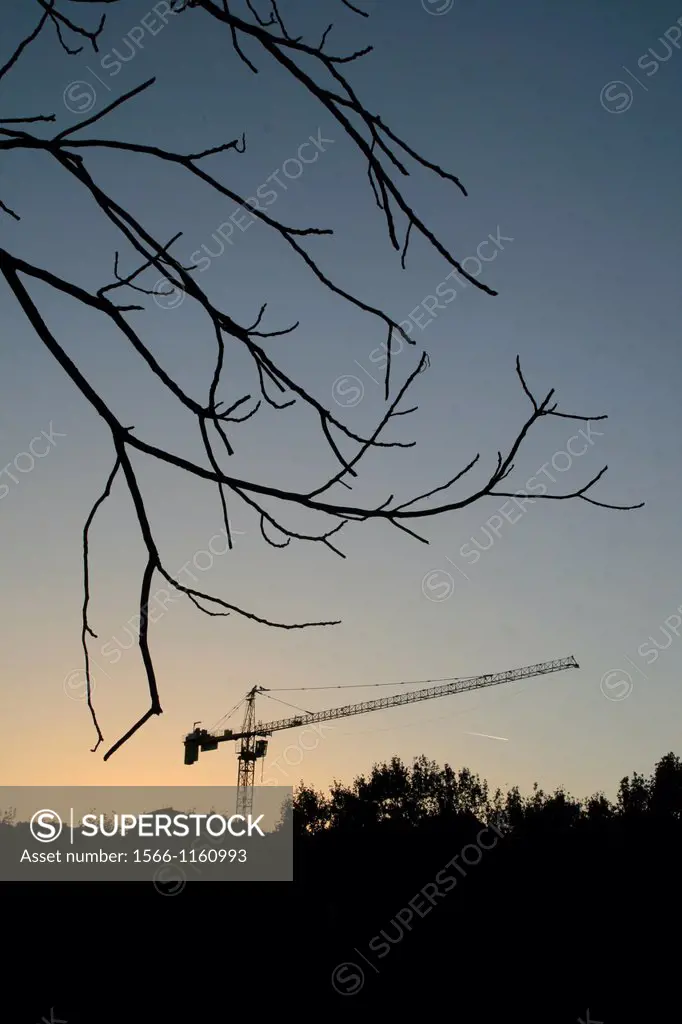 silhouette of crane on building site in evening with bare tree branches