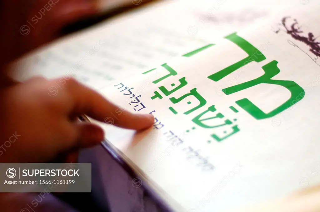 A woman reads the Haggadah traditional text during blessings for the Jewish holiday of Passover Dinner