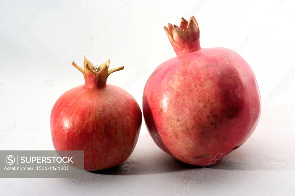 Two pomegranates on a white and gray background