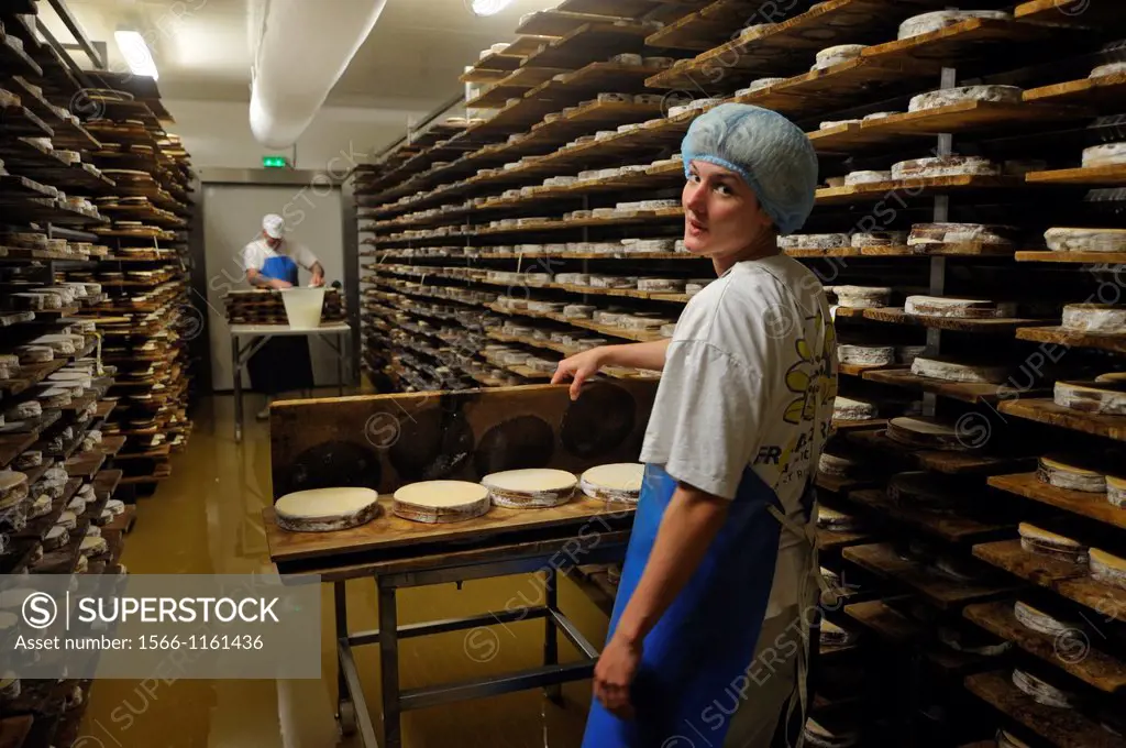 Mont d´or cheese brushing, cheese factory, Lagrange aux fromages, Fromagerie Sancey Richard of Mont d´or, Metabief, Doubs departement, Franche-Comte r...