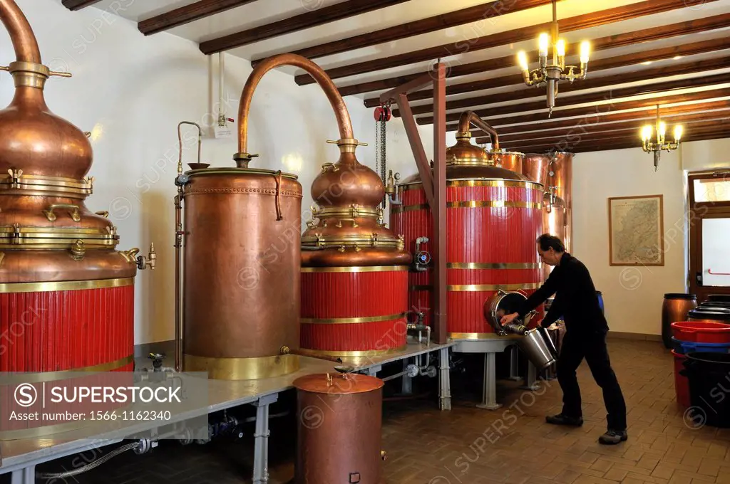 Distillery Pierre Guy, Pontarlier, Doubs departement, Franche-Comte region, France Europe