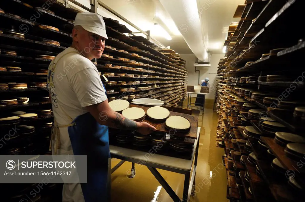 Mont d´or cheese brushing, cheese factory, Lagrange aux fromages, Fromagerie Sancey Richard of Mont d´or, Metabief, Doubs departement, Franche-Comte r...
