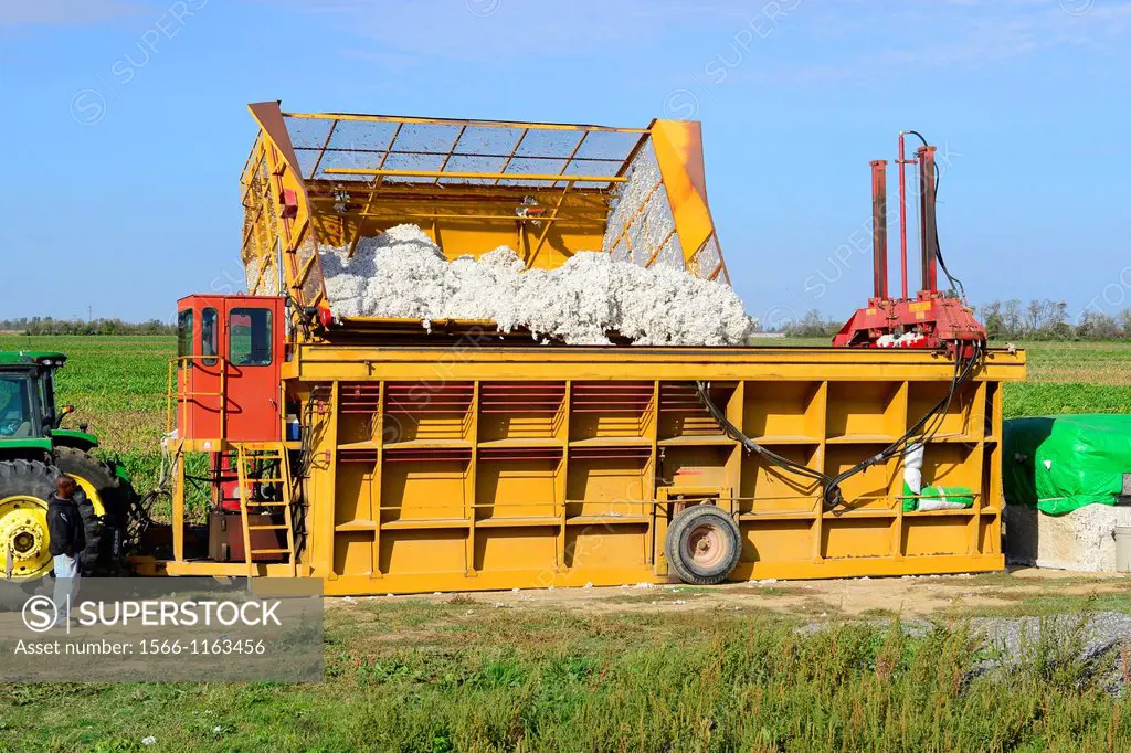 Harvested Cotton Pressed and Baled Mississippi