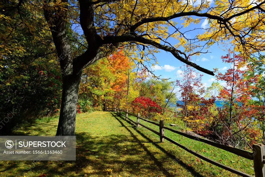 Fenced shoreline with colorful fall leaves autumn trees Michigan
