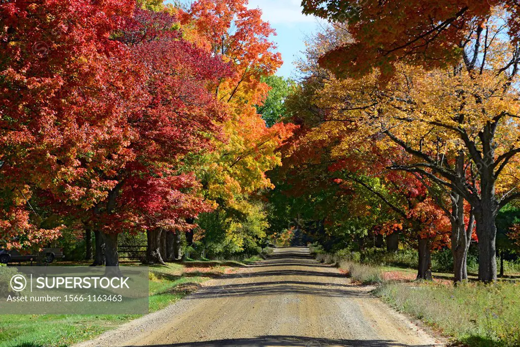 Country road with colorful fall leaves autumn trees Wisconsin