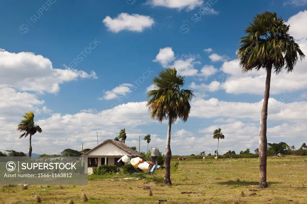 Cuba, Pinar del Rio Province, Pinar del Rio, roadside farm by the Autopista Habana-Pinar del Rio Highway