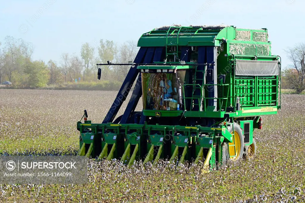 Cotton Field Being Harvested Mississippi