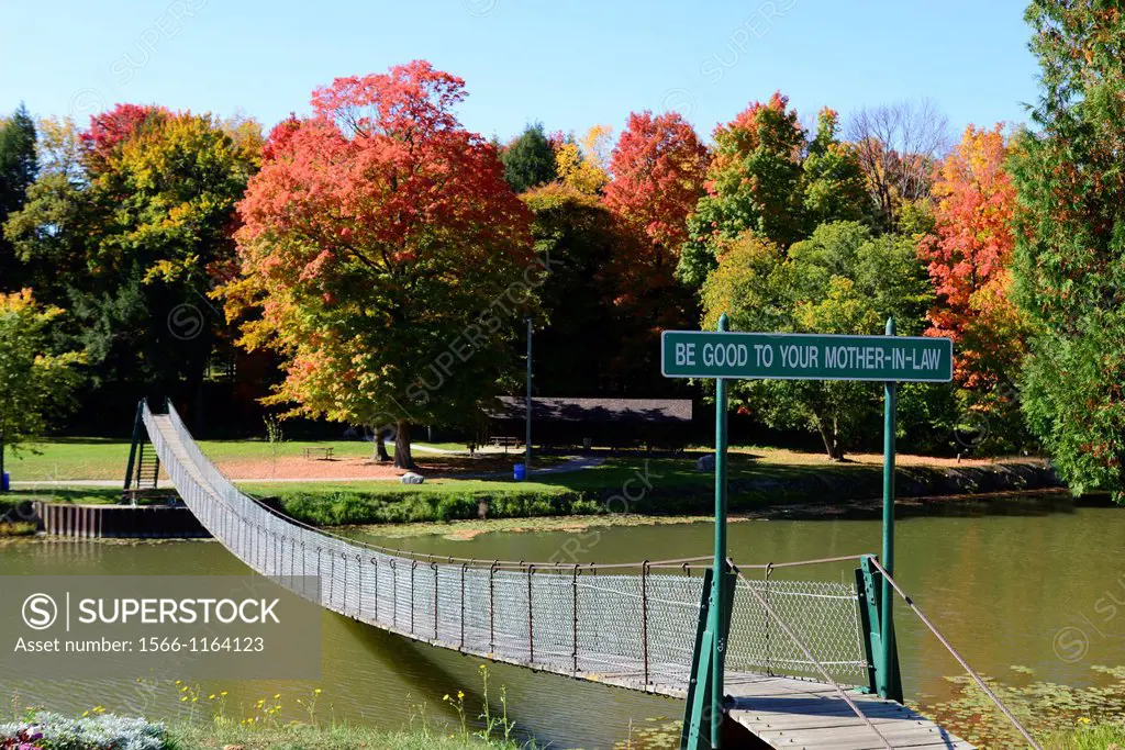 Walking Suspension Bridge Over Water In Autumn Fall MI