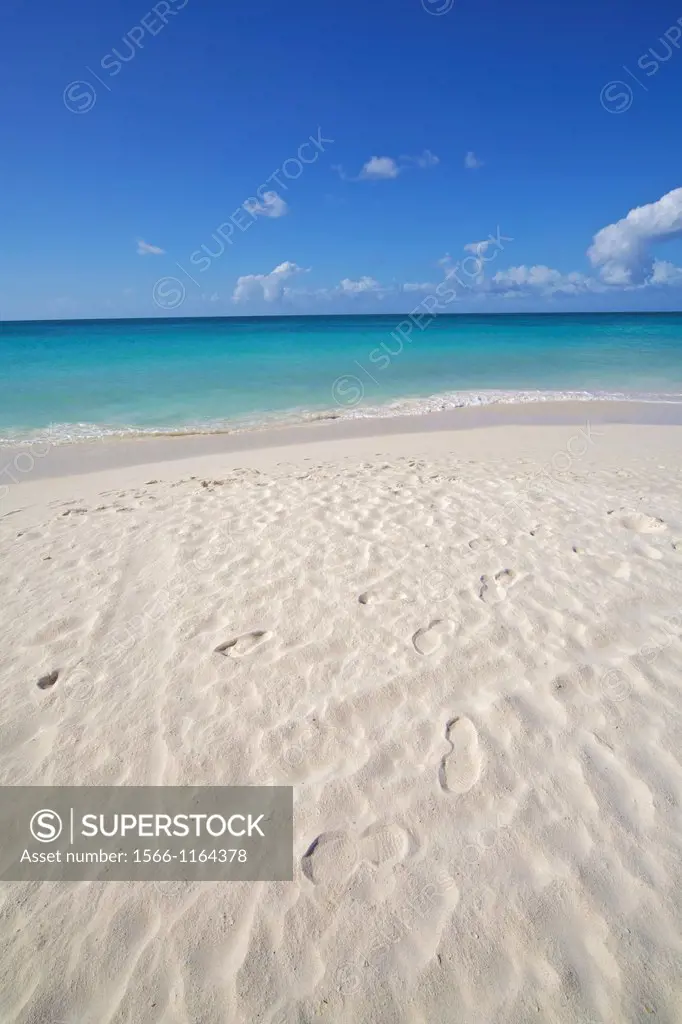 Footprints in the Powdery White Sand of Aruba