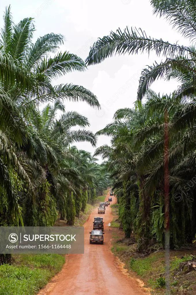 A caravan SUVs driving on a dirt road during The Kembara Mahkota Johor is an annual royal motorcycle tour program held by the state government of Joho...
