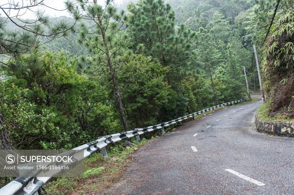 A curving road with a guard rail in the forests of Johor, Malaysia