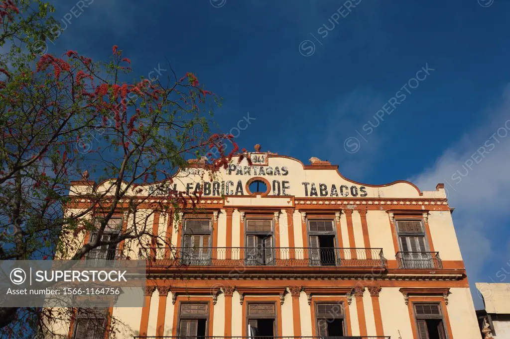 Cuba, Havana, Central Havana, the Partagas cigar factory