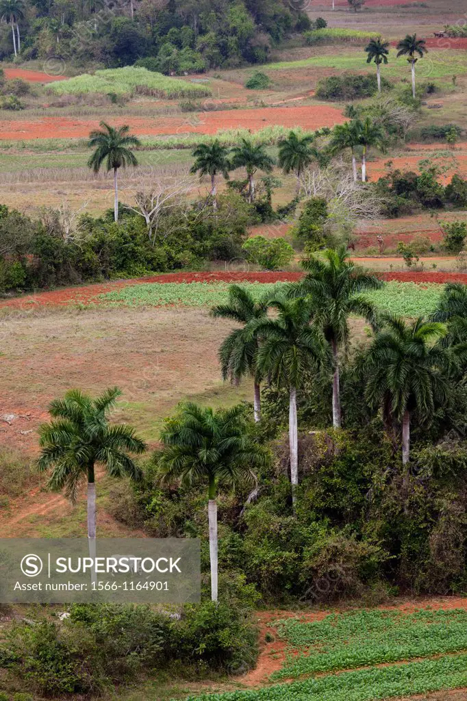 Cuba, Pinar del Rio Province, Vinales, Vinales Valley, elevated view