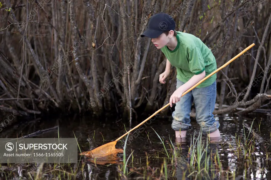 Young boy hunting frogs in the swampy lake