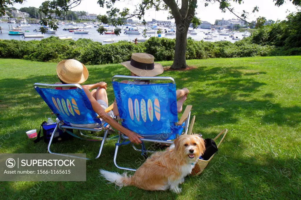 Massachusetts, Cape Cod, Harwich, Wychmere Harbor, harbour, park, boats, tree, woman, lawnchair, dog, pet,