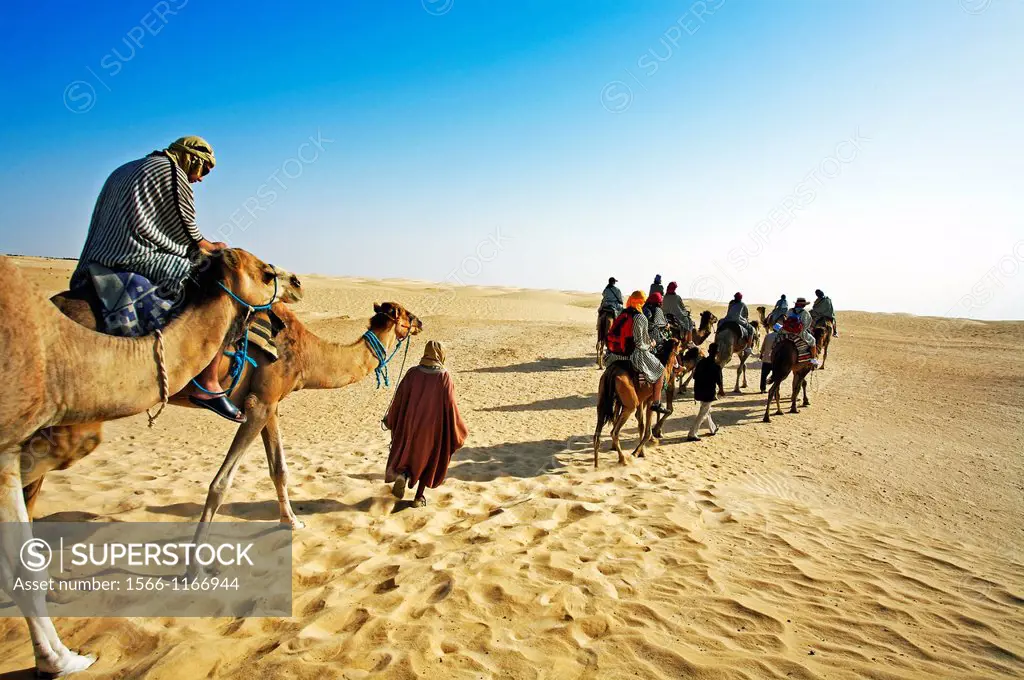 Tourists riding camels  Sahara Desert, Douz, Tunisia