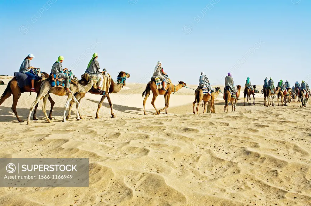 Tourists riding camels  Sahara Desert, Douz, Tunisia.