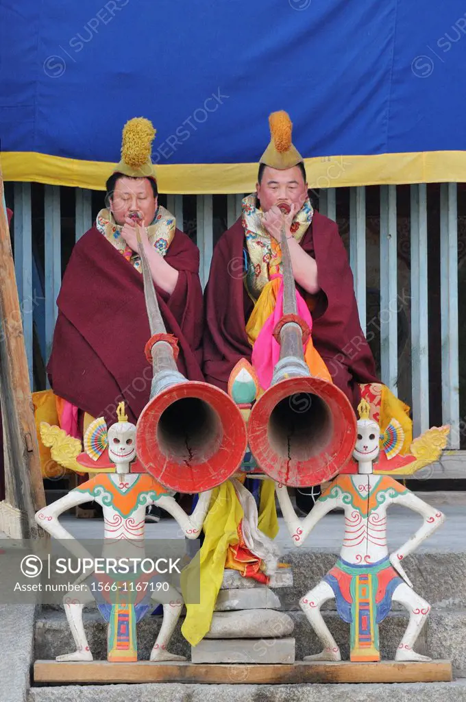 China, Qinghai, Amdo, Tongren Rebkong, Monastery of Gomar Guomari Si, Losar New Year festival, Young novices blowing telescoping trumpets