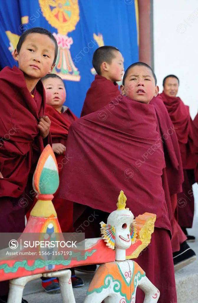 China, Qinghai, Amdo, Tongren Rebkong, Monastery of Gomar Guomari Si, Losar New Year festival, Young novices watching the Cham dances