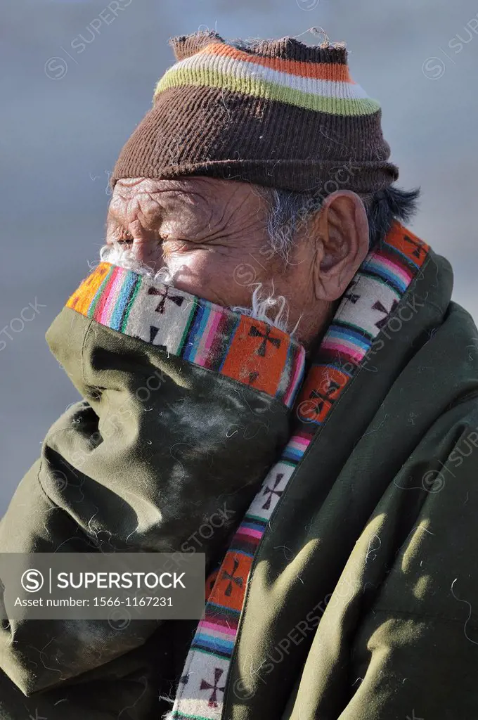 China, Gansu, Amdo, Xiahe, Monastery of Labrang Labuleng Si, Losar New Year festival, Old Tibetan pilgrim sticking his nose in his sleeve to fight the...