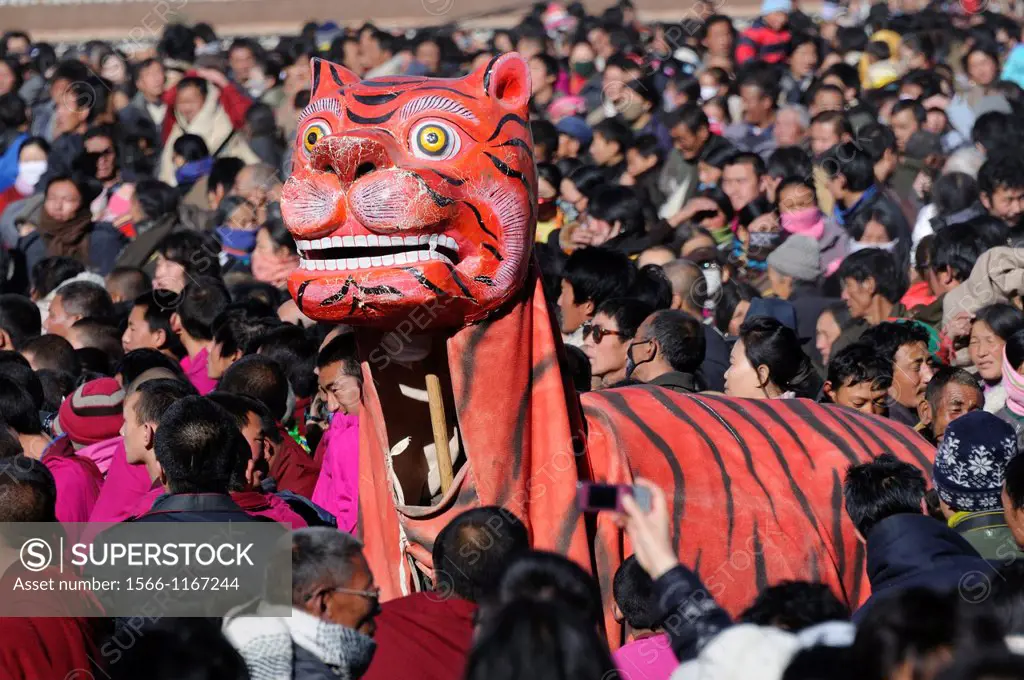 China, Gansu, Amdo, Xiahe, Monastery of Labrang Labuleng Si, Losar New Year festival, Fancy tiger
