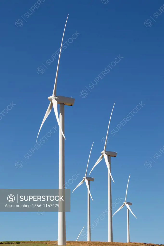 Windmills on a wind farm near Zahara de los Atunes  Cádiz province, Andalucía, Spain