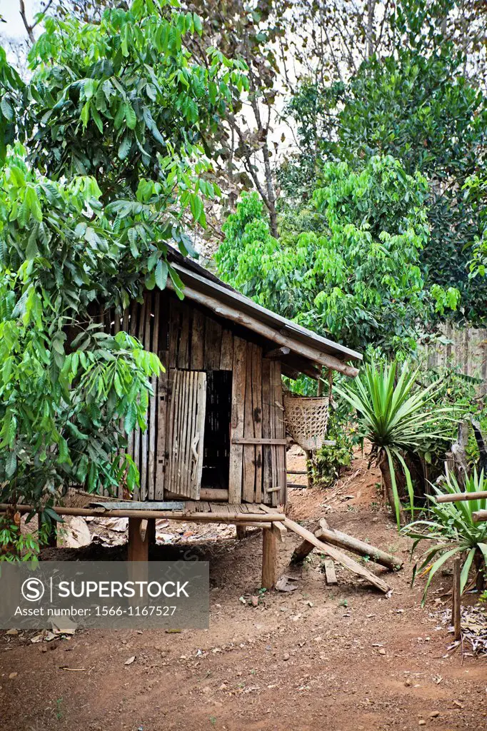 Palong tribe, Pangdeang village, Chiang Mai Province, Thailand.