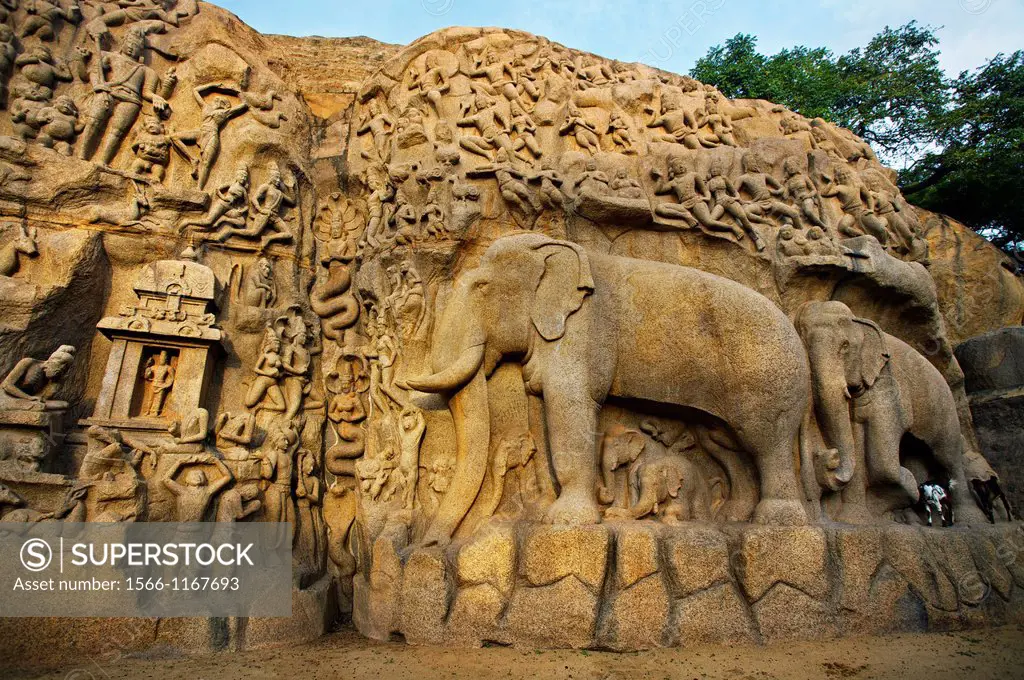 Low relief of Arjuna´s Penance the Descent of the Ganges, Mahabalipuram Mamallapuram, Tamil Nadu , India.