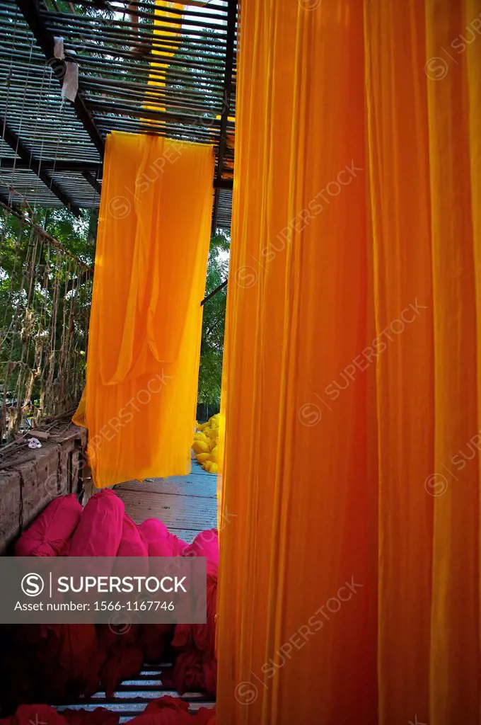 Drying saris  Jodhpur  Rajasthan  India.