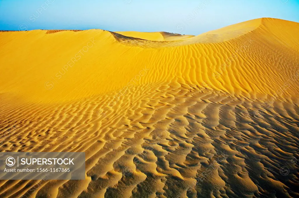 Sand dunes  Sahara Desert, Douz, Tunisia.