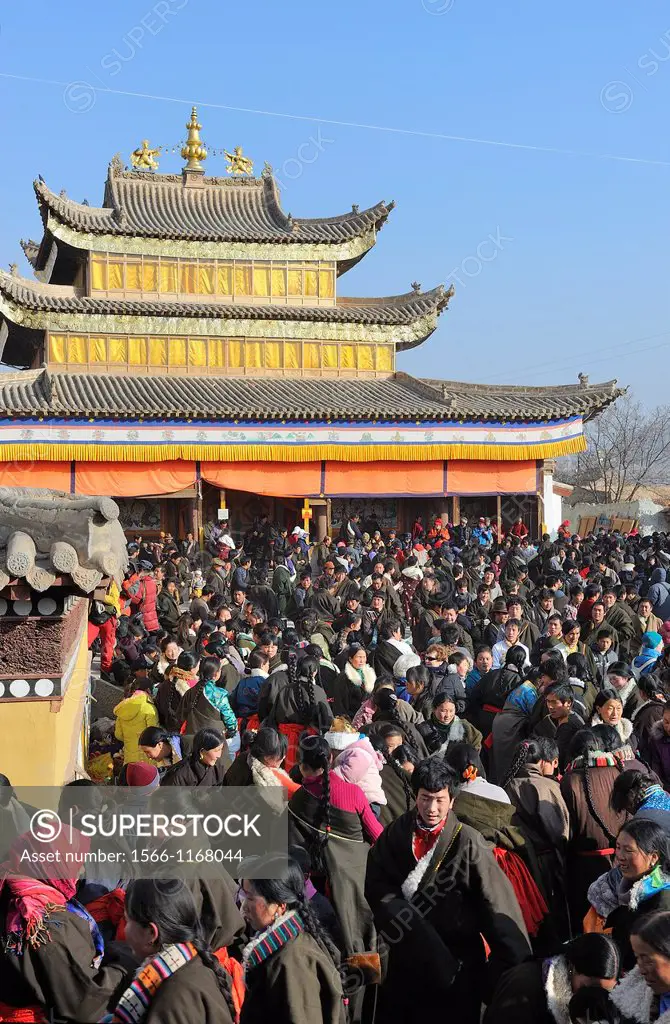 China, Qinghai, Amdo, Tongren Rebkong, Monastery of Gomar Guomari Si, Losar New Year festival