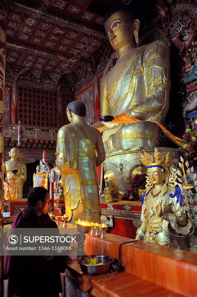 China, Qinghai, Amdo, Tongren Rebkong, Monastery of Rongwo Longwu Si, The Jokhang, Offering of light