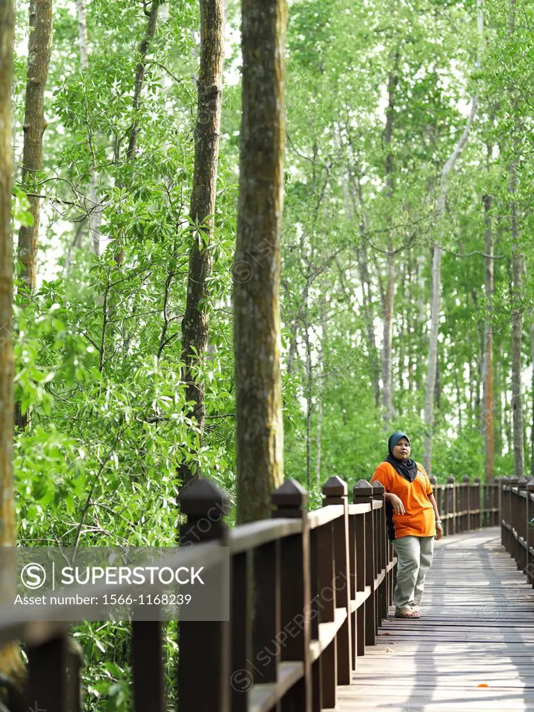A National Park Ranger stands on a raised walkway at Tanjung Piai National Park