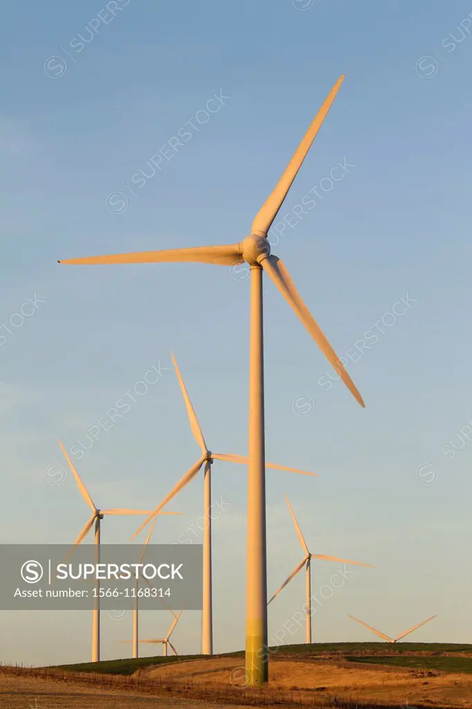 Windmills on a wind farm near Zahara de los Atunes  In the light of the late evening  Cádiz province, Andalucía, Spain