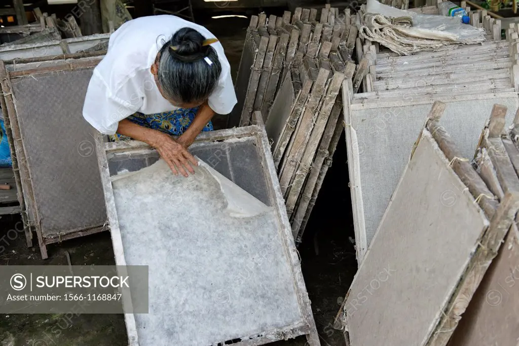 Traditional handmade paper made from the inner bark of Paper Mulberry, Broussonetia papyrifera, a tree in the family Moraceae, native to eastern Asia ...