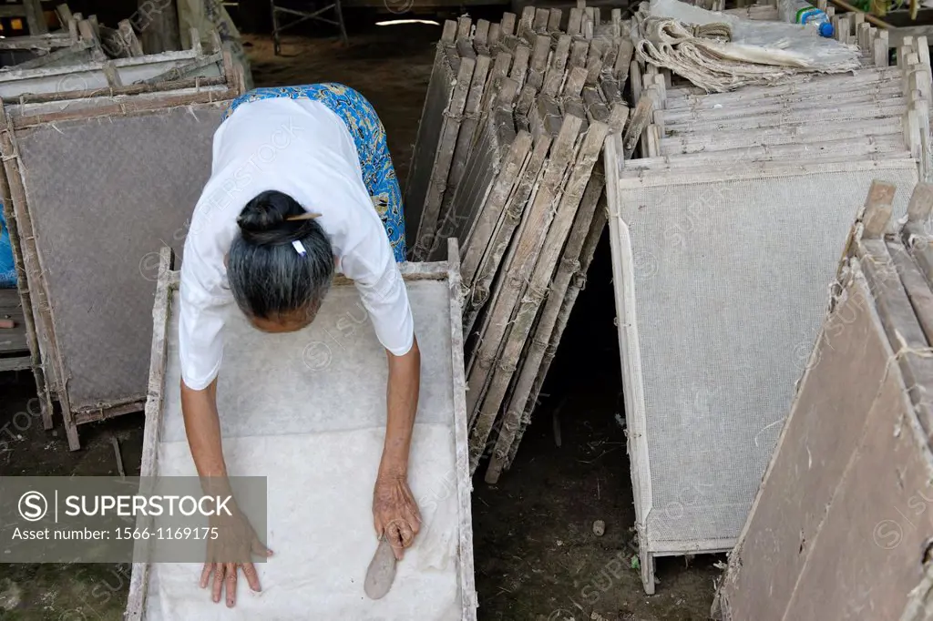 Traditional handmade paper made from the inner bark of Paper Mulberry, Broussonetia papyrifera, a tree in the family Moraceae, native to eastern Asia ...