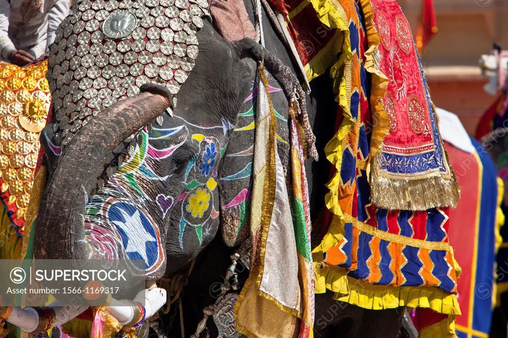 Decorated costume elephant film set Amber Fort Jaipur Rajasthan India