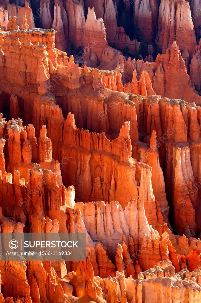Rock formations and hoodoos, Bryce Amphitheater, Bryce Canyon National Park, Utah, USA
